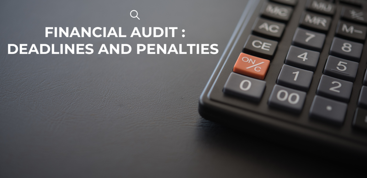 Financial Audit Deadlines and Penalties