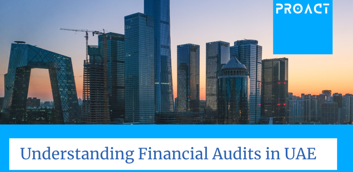 Understanding Financial Audits in UAE