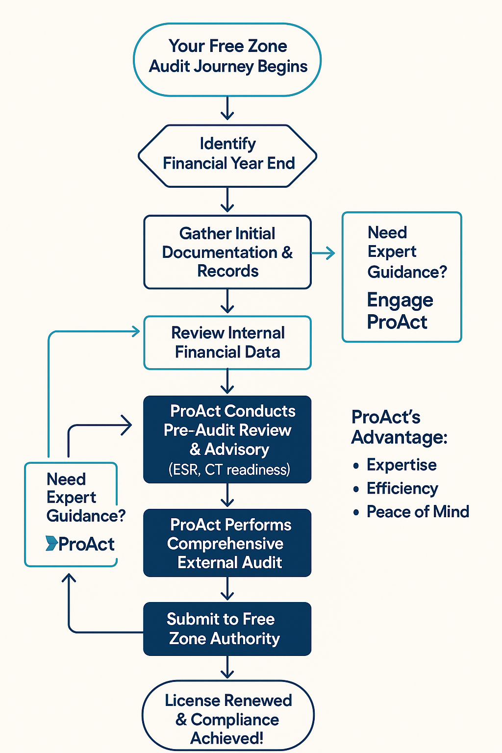 Freezone Audit process and steps